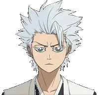 Toshiro Hitsugaya